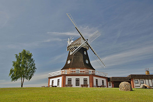 xsmn 6