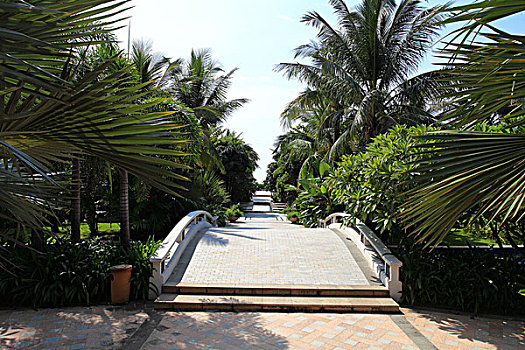cầu soi miền bắc