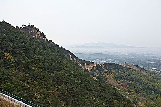 soi câu